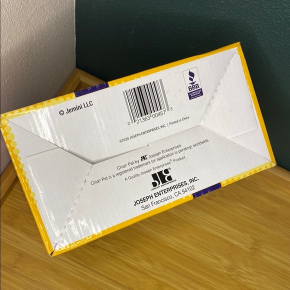 Richard Simmons Chia Pet Handmade Planter - Picture 5 of 5